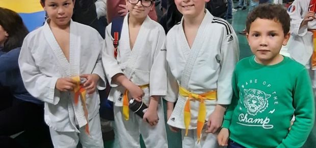 Resultat critérium départemental Benjamins/nes de judo